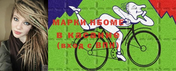 сатива Алзамай