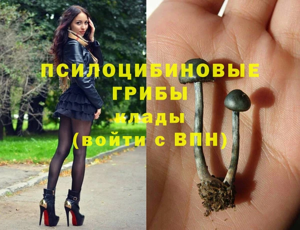сатива Алзамай