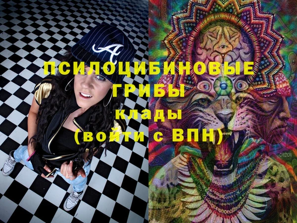 бутират Алексеевка